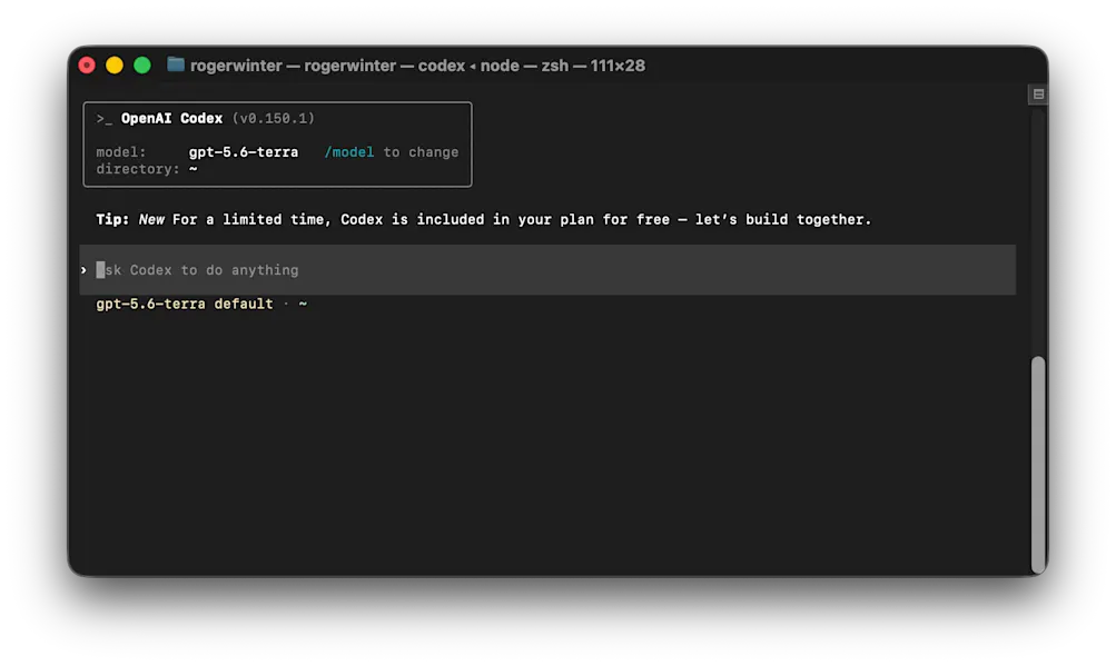 The Codex CLI terminal interface after a fresh install, showing the active model and working directory
