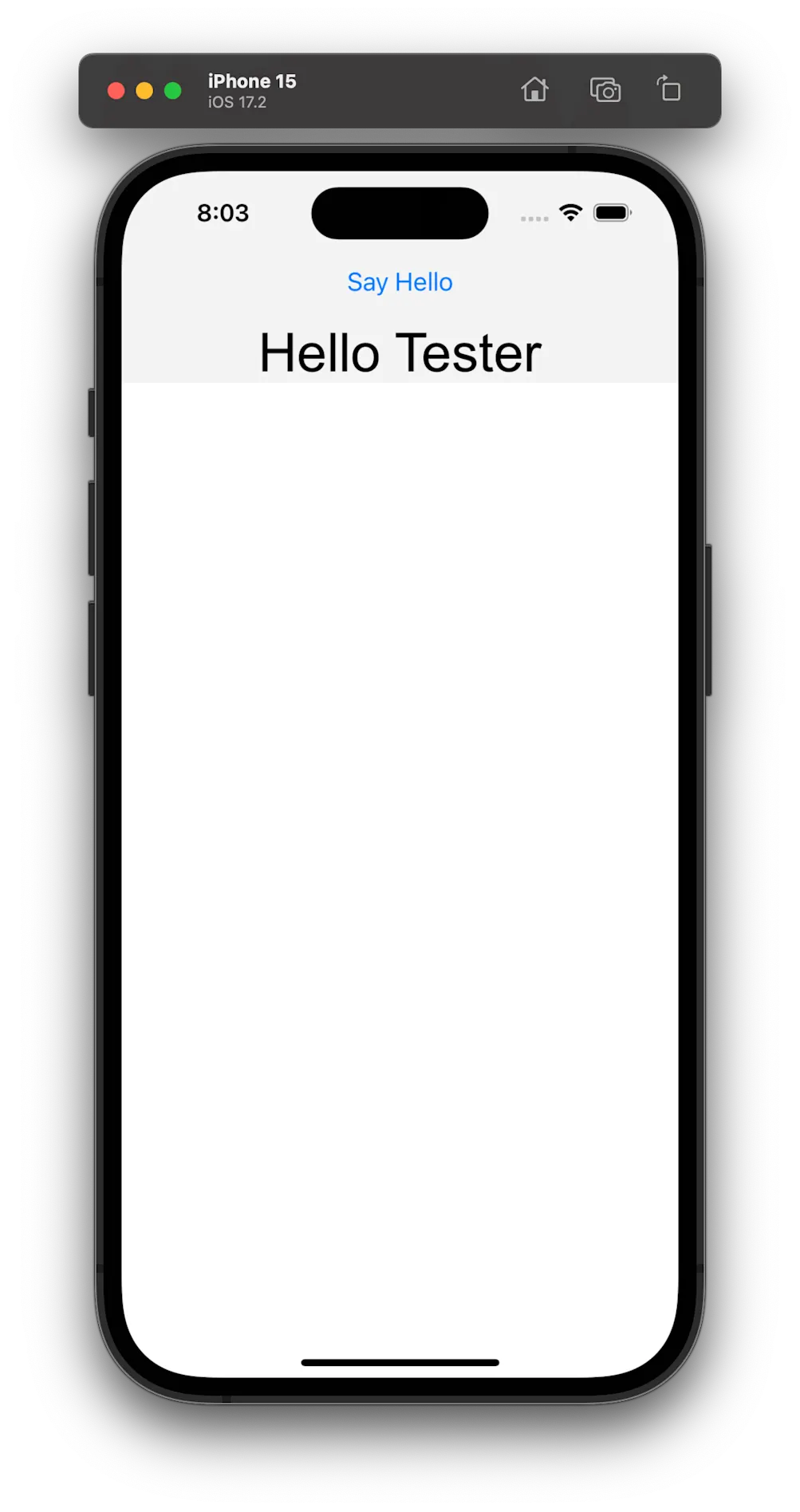 App running - Emulator