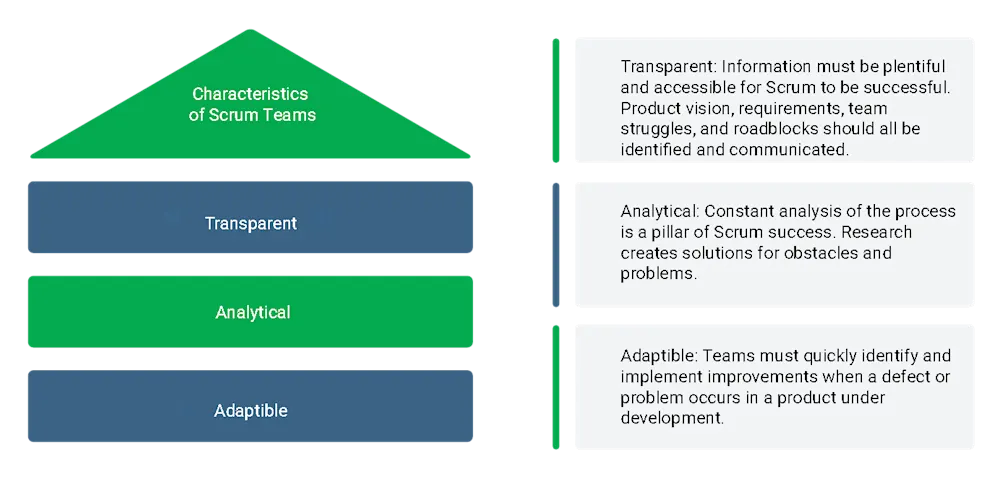 Three characteristics of Scrum