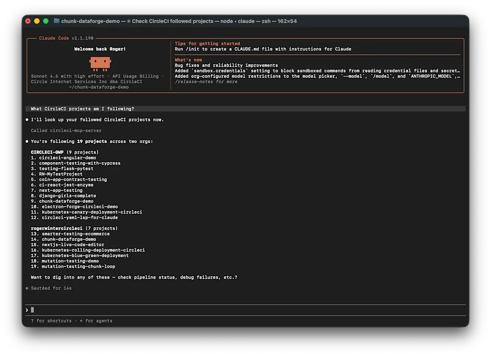 Using Claude Code to get information via the CircleCI MCP server