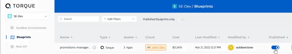 Use the published toggle to publish and test your environment