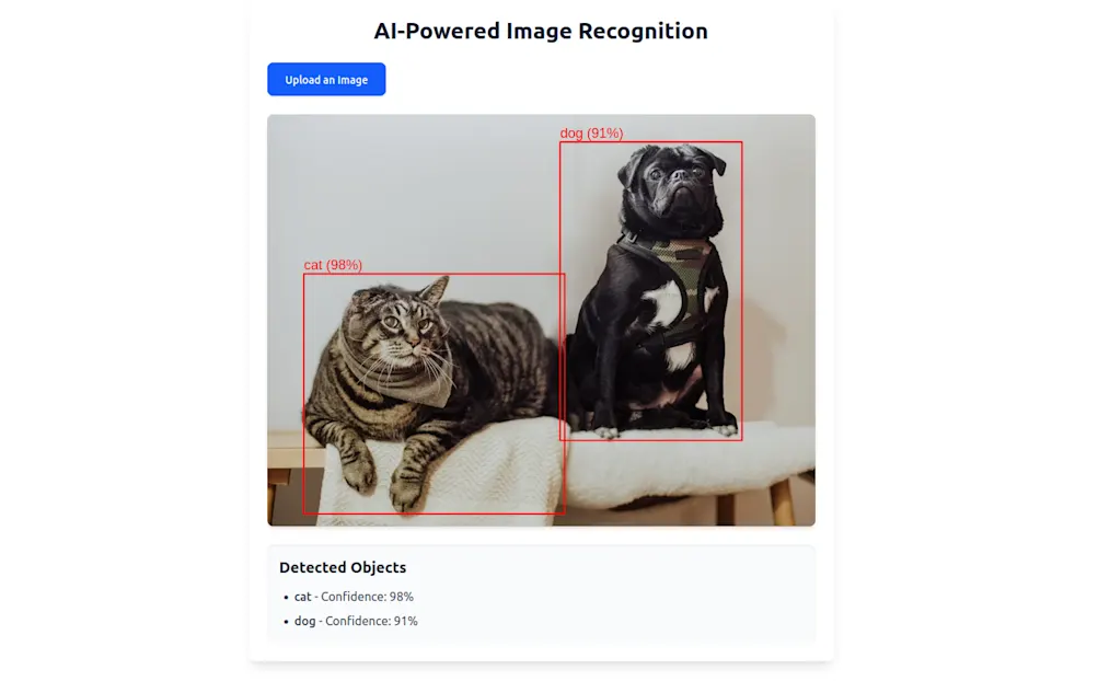Image recognition in action