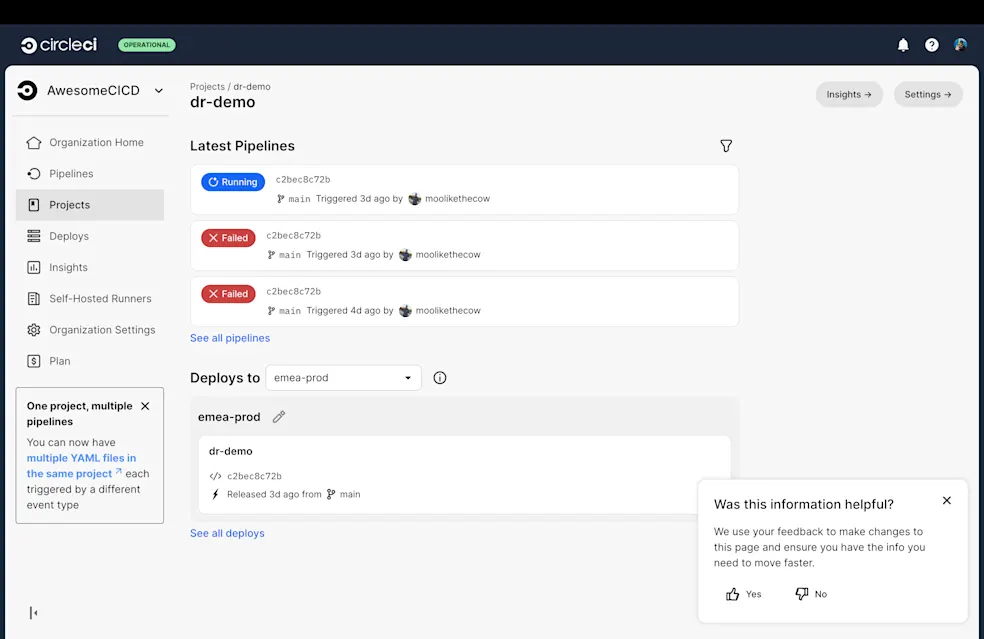 Project overview screenshot