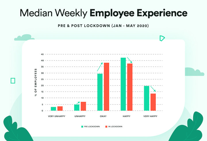 Median Weekly Employee Experience