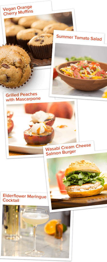 Food Recipes