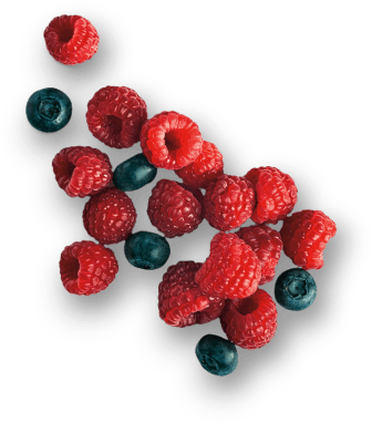 Berries