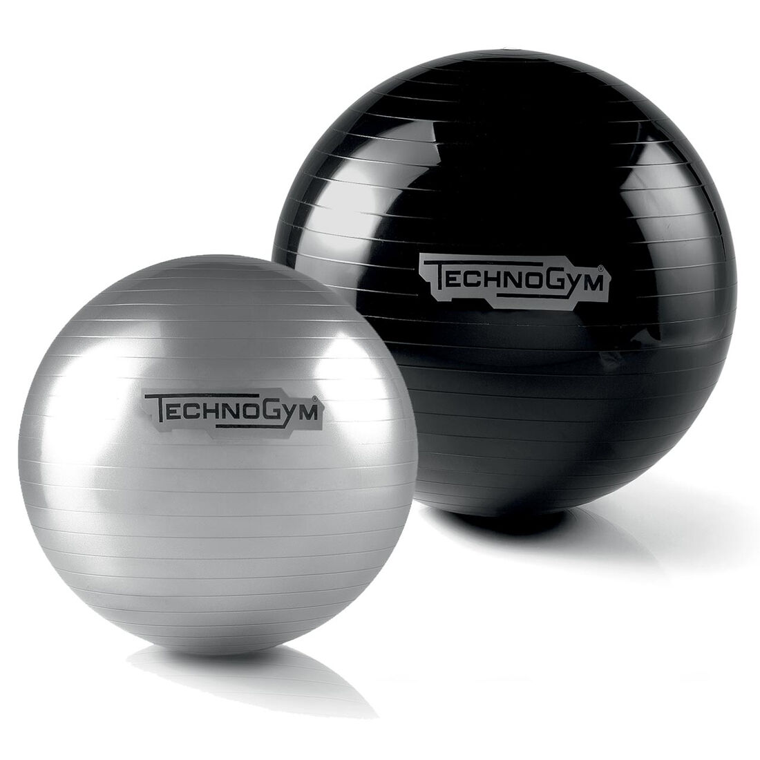 Wellness Ball Training