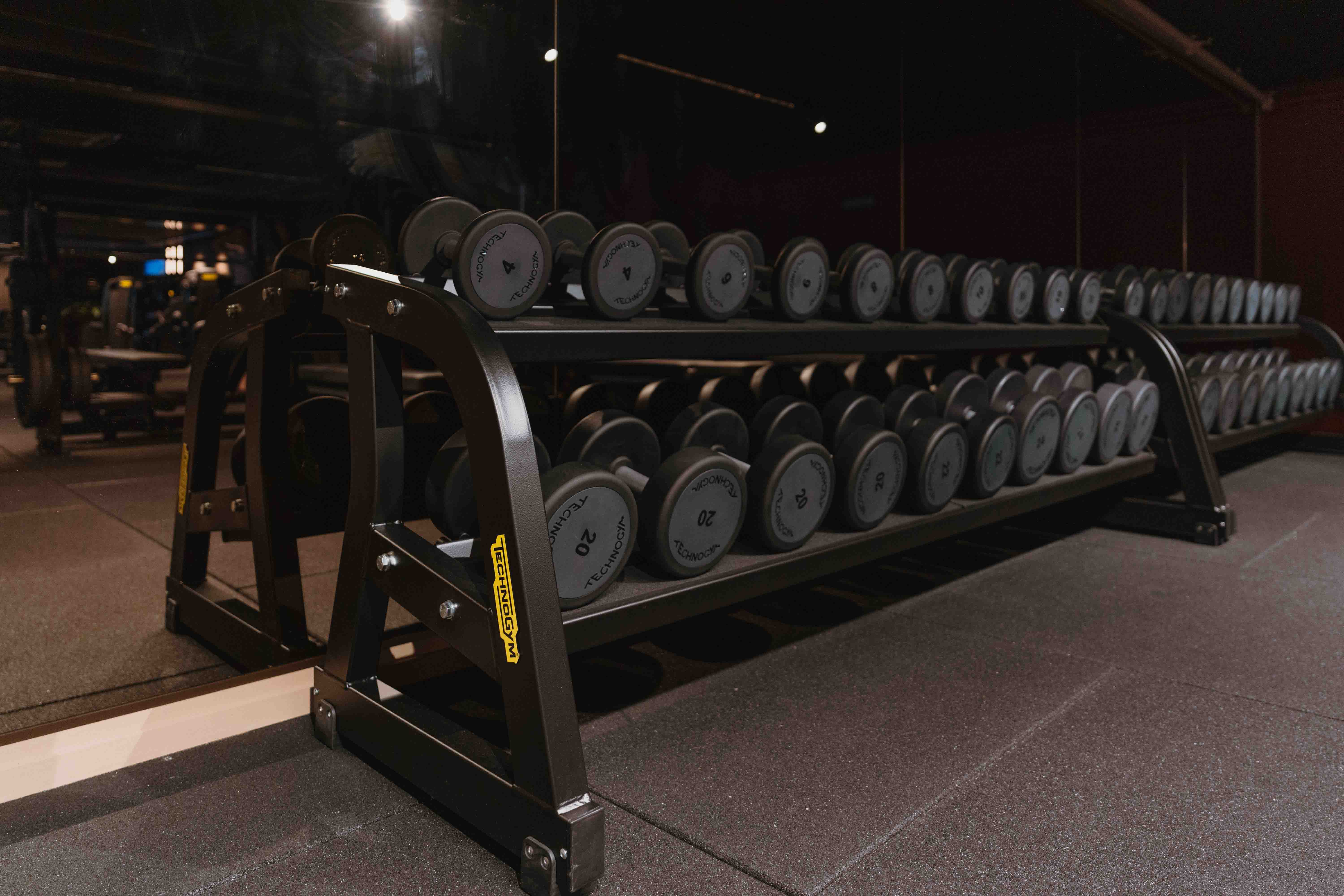 QiCraft-Technogym-Ragde-TonjeLW 50