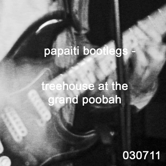 Treehouse at The Grand Poobah