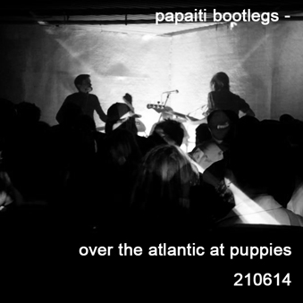 Over the Atlantic at Puppies