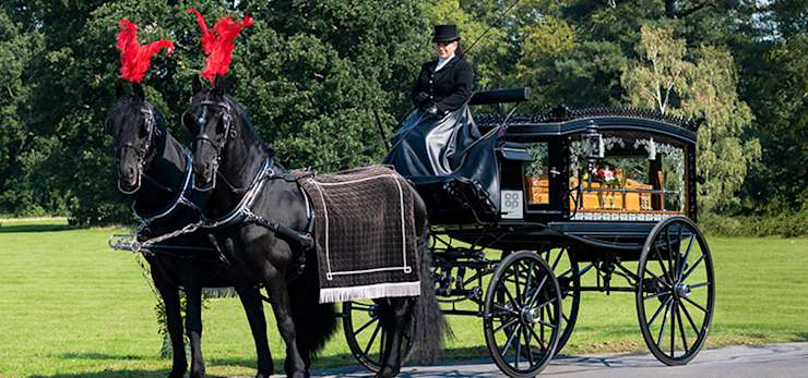 Glass horse drawn hearse with a coffin stopped in parkland with black horses and red plumes