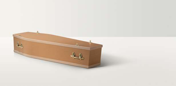 Full length image of a basic coffin with brass coloured handles and closures
