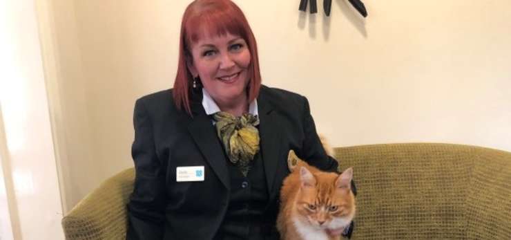 paddy the cat with carole paton