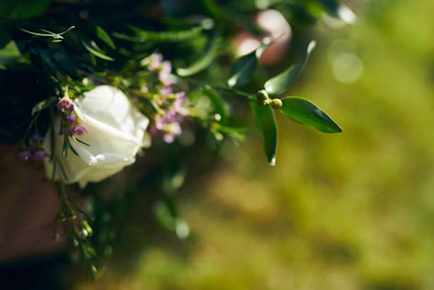 Natural funeral image