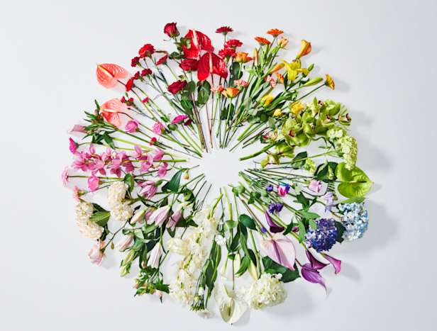 Flower wheel image