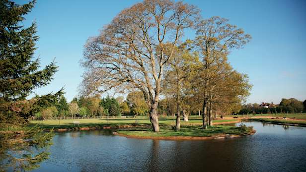 Hinton woodland burial ground with lake and small island of trees in the middle.
