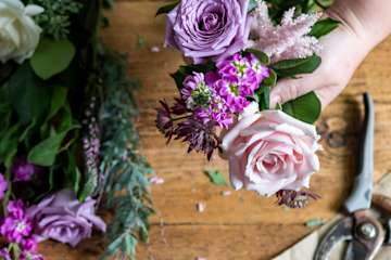 Purple flowers being arranged on a table