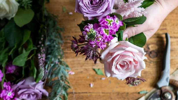 Purple flowers being arranged on a table