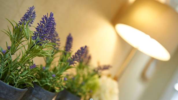 Arranging room lavender