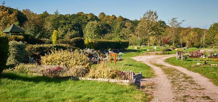 Natural woodland burial ground with wild flowers.