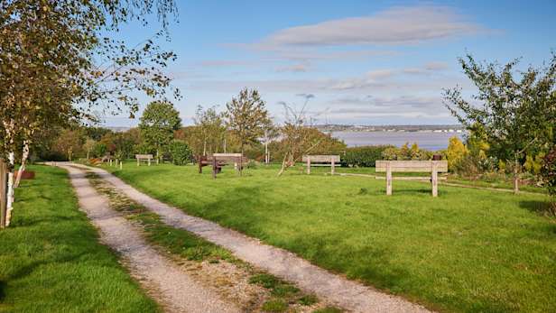Natural woodland burial ground, with green fields and wooden park benches.