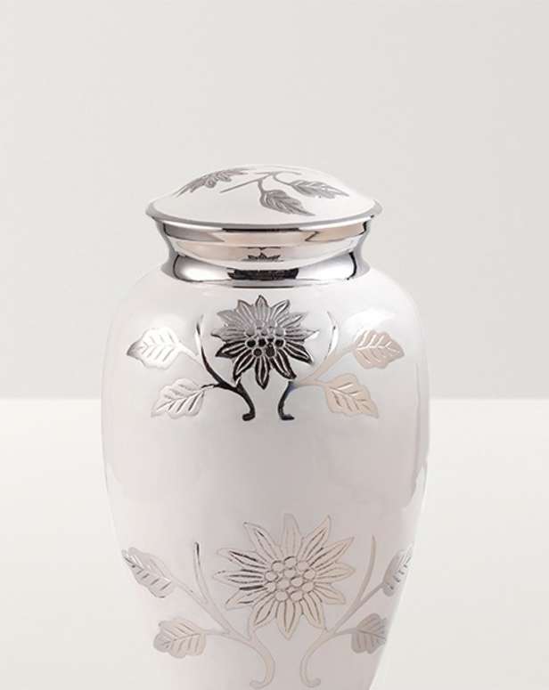 Close up of white flowers urn