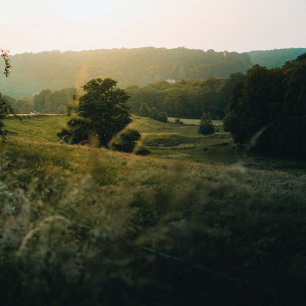 Countryside image with green hills and trees and sunlight