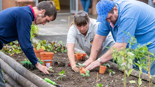 Community garden