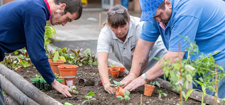 Community garden