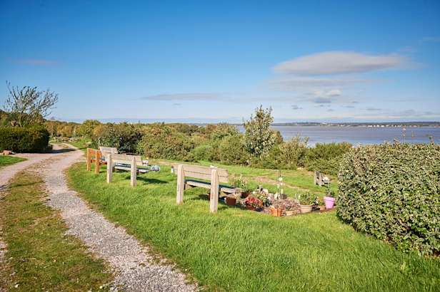 Woodland burial ground over looking a beach.