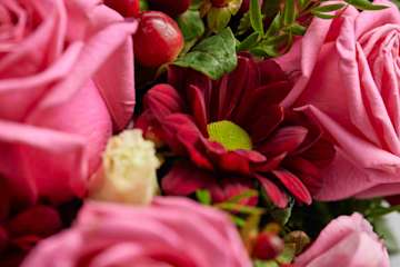 COP93966 FilledHeart PinkAndRed Detail 23649 RGB 16 11zon