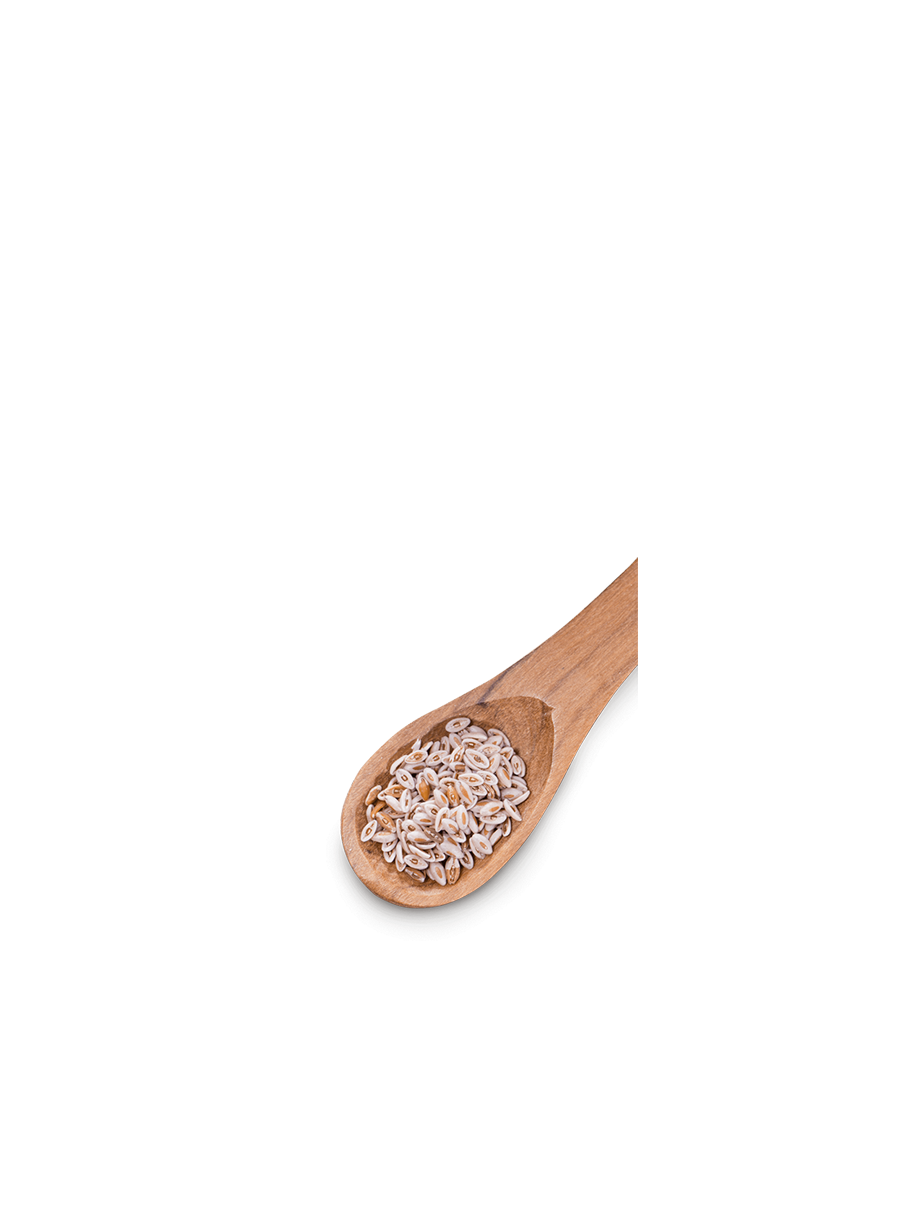 Psyllium em colher