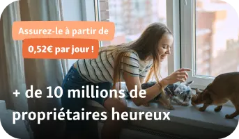 + de 10 millions de propriétaires heureux - Mobile + de 10 millions de propriétaires heureux - Mobile
