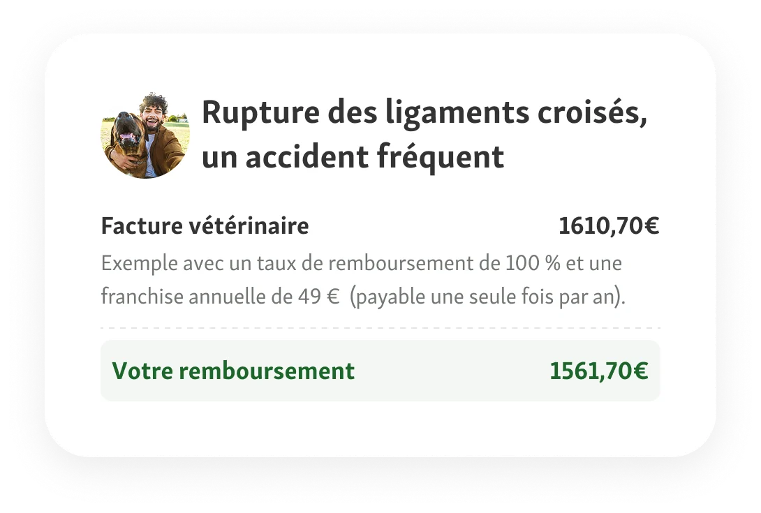 Rupture des ligaments croisés