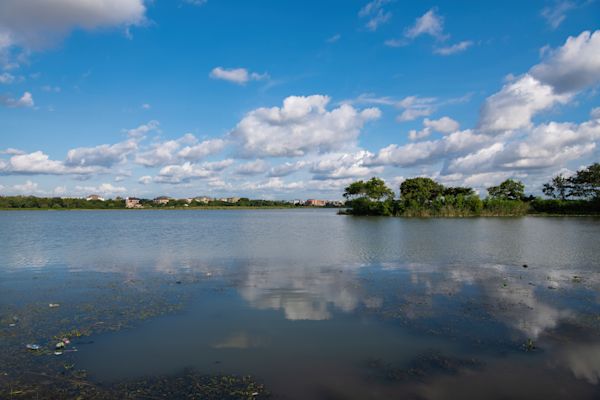 A body of water