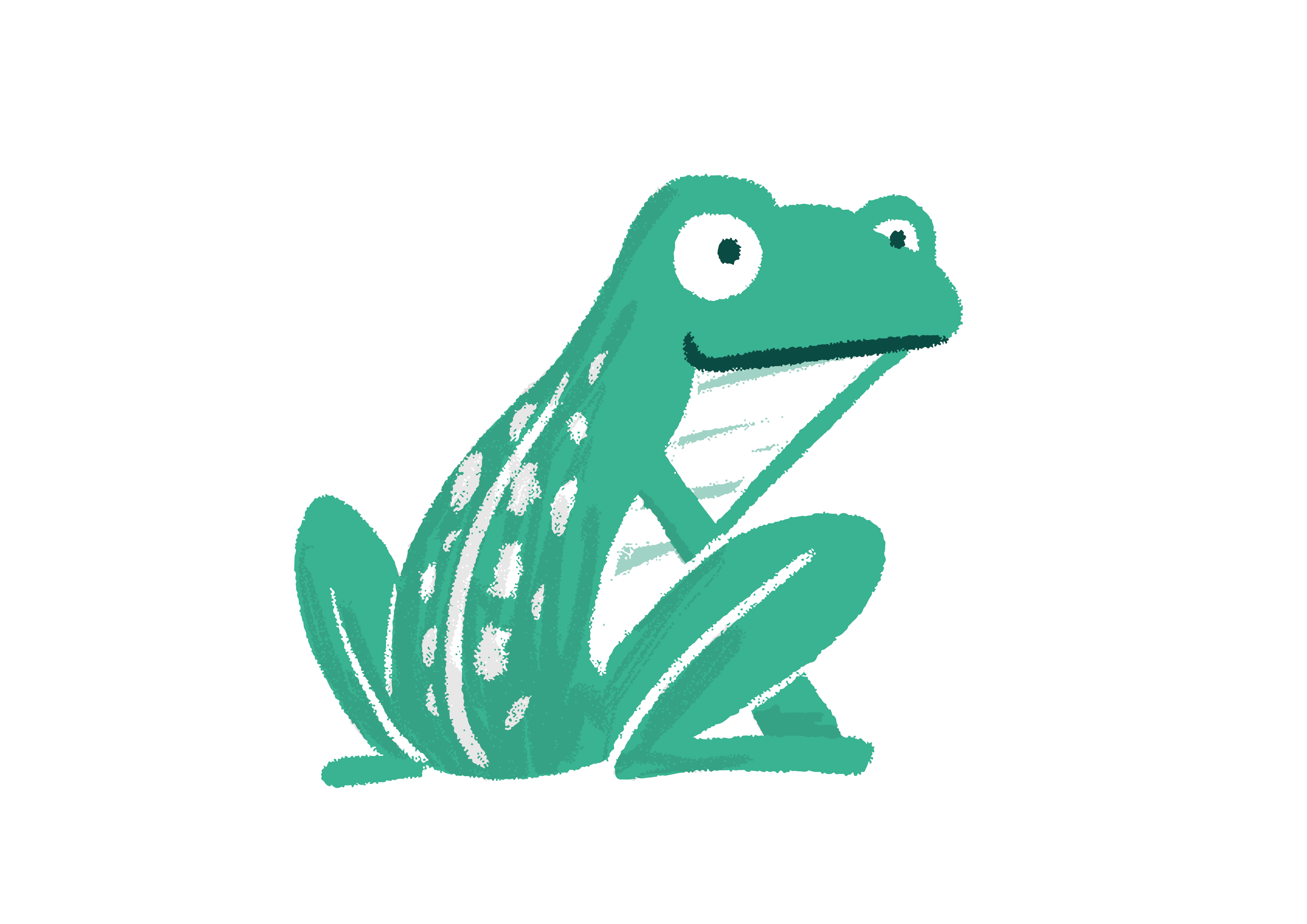 Master Frog vectors-03