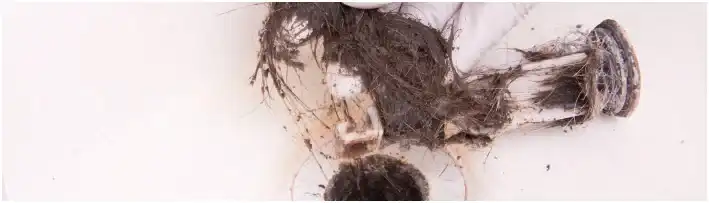 Large clump of hair stuck on sink drain plug, removed from drain.