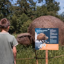 event en expo vol ijstijddieren