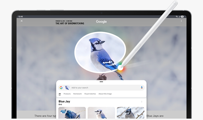 Samsung-galaxy-tab-s10fe-s10fe+-circle-to-search-660