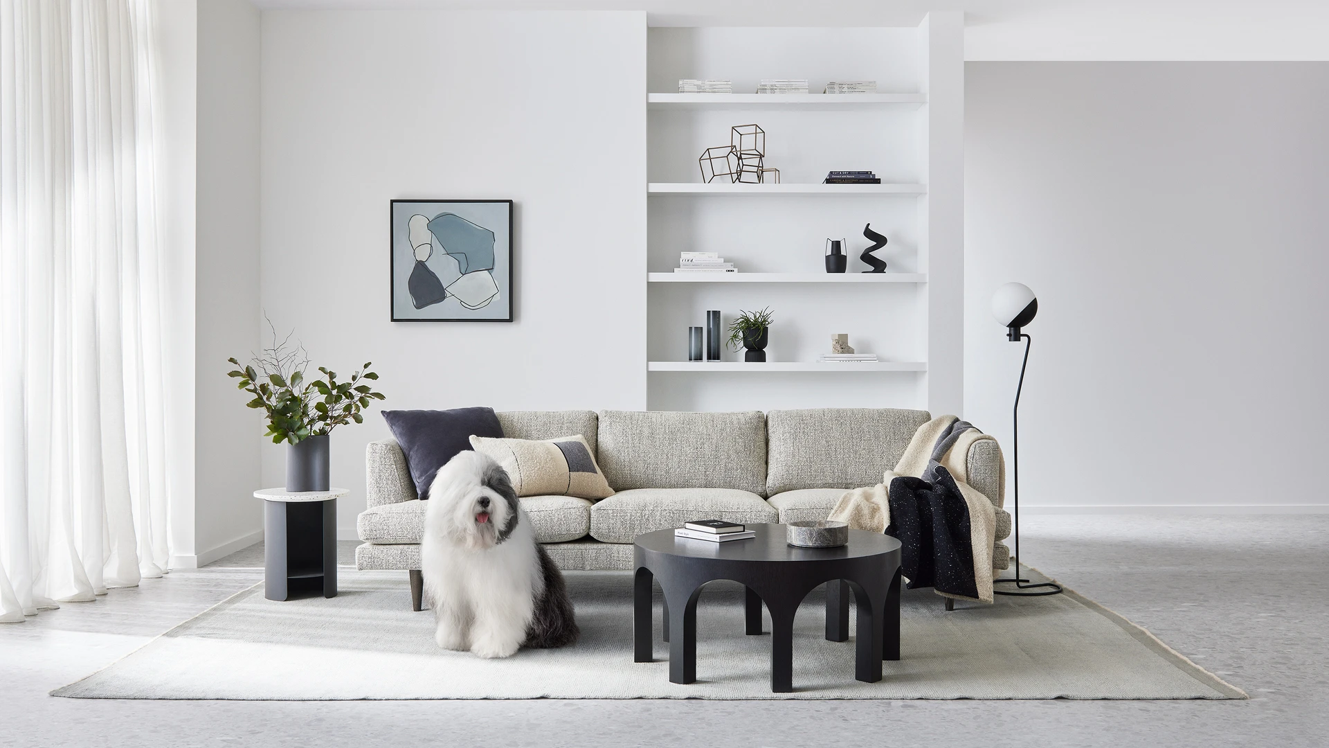 Interior living room with Ōkārito featuring on back wall, Dulux dog, textured couch and coffee table.