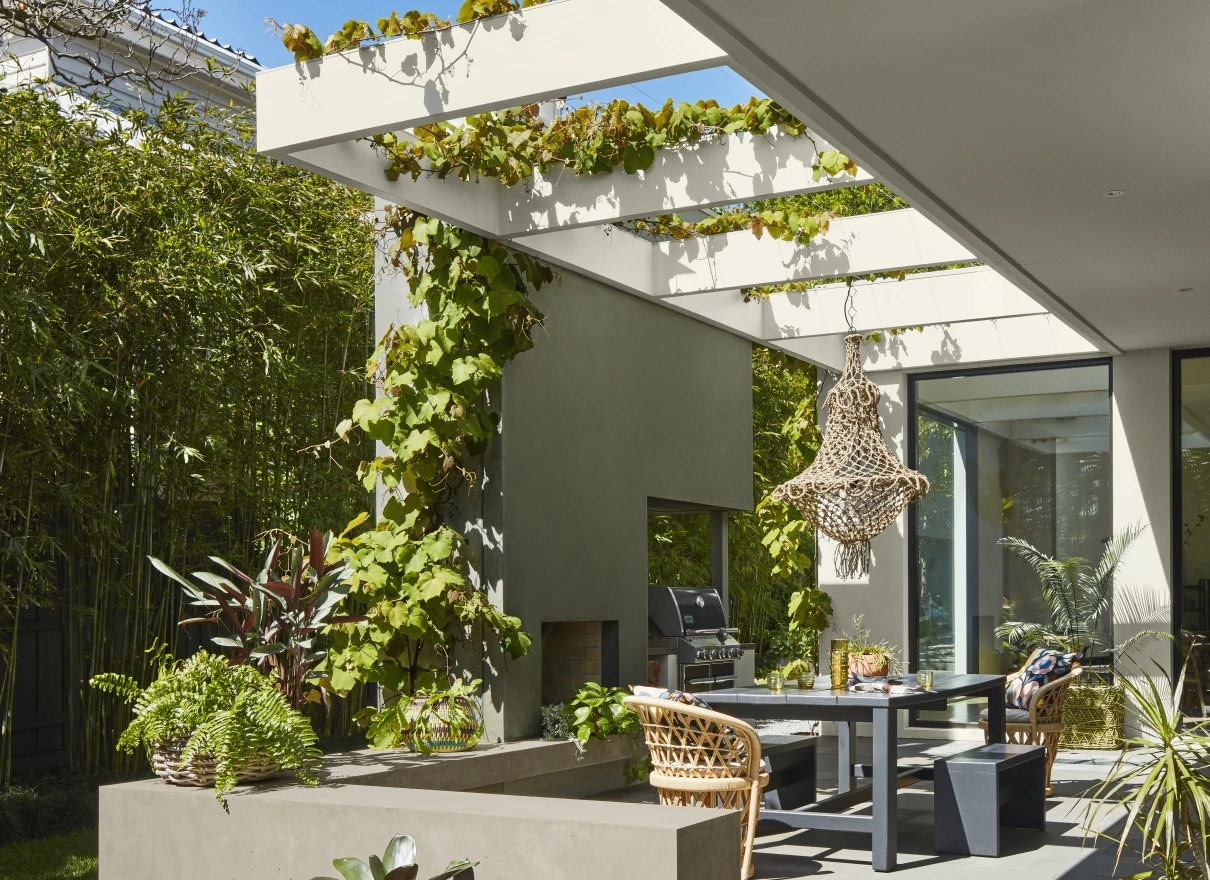 exterior outdoor entertaining area, with plants and chairs. 