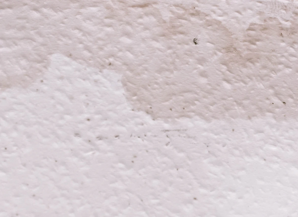 stain damage on white wall