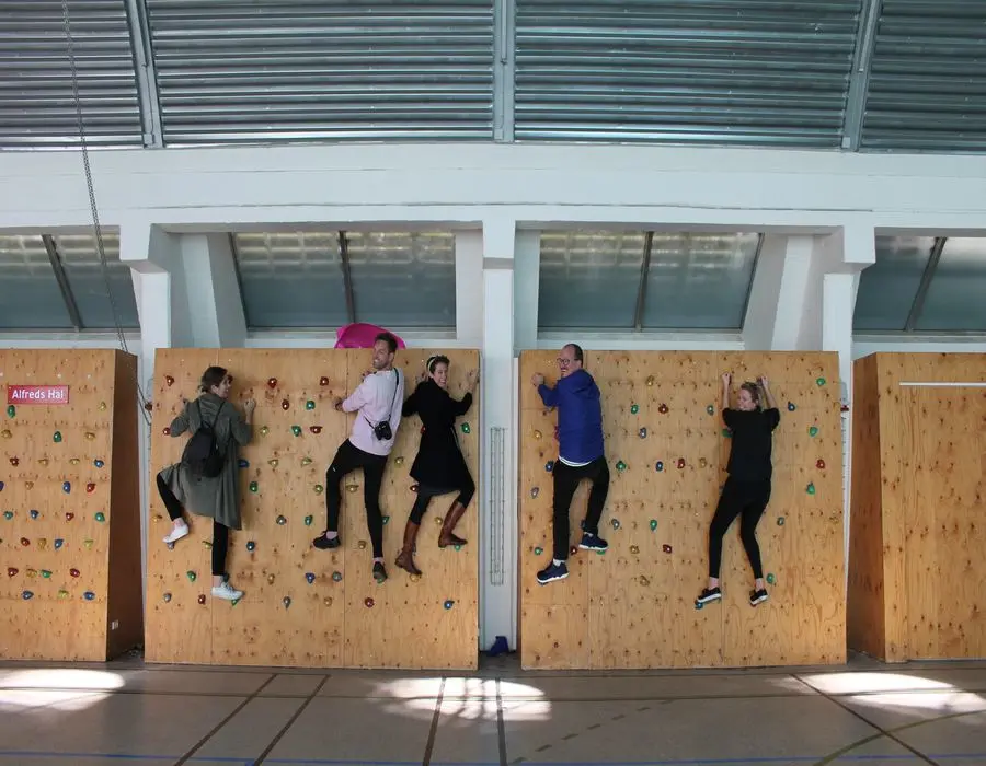Five adults on a climbing wall.