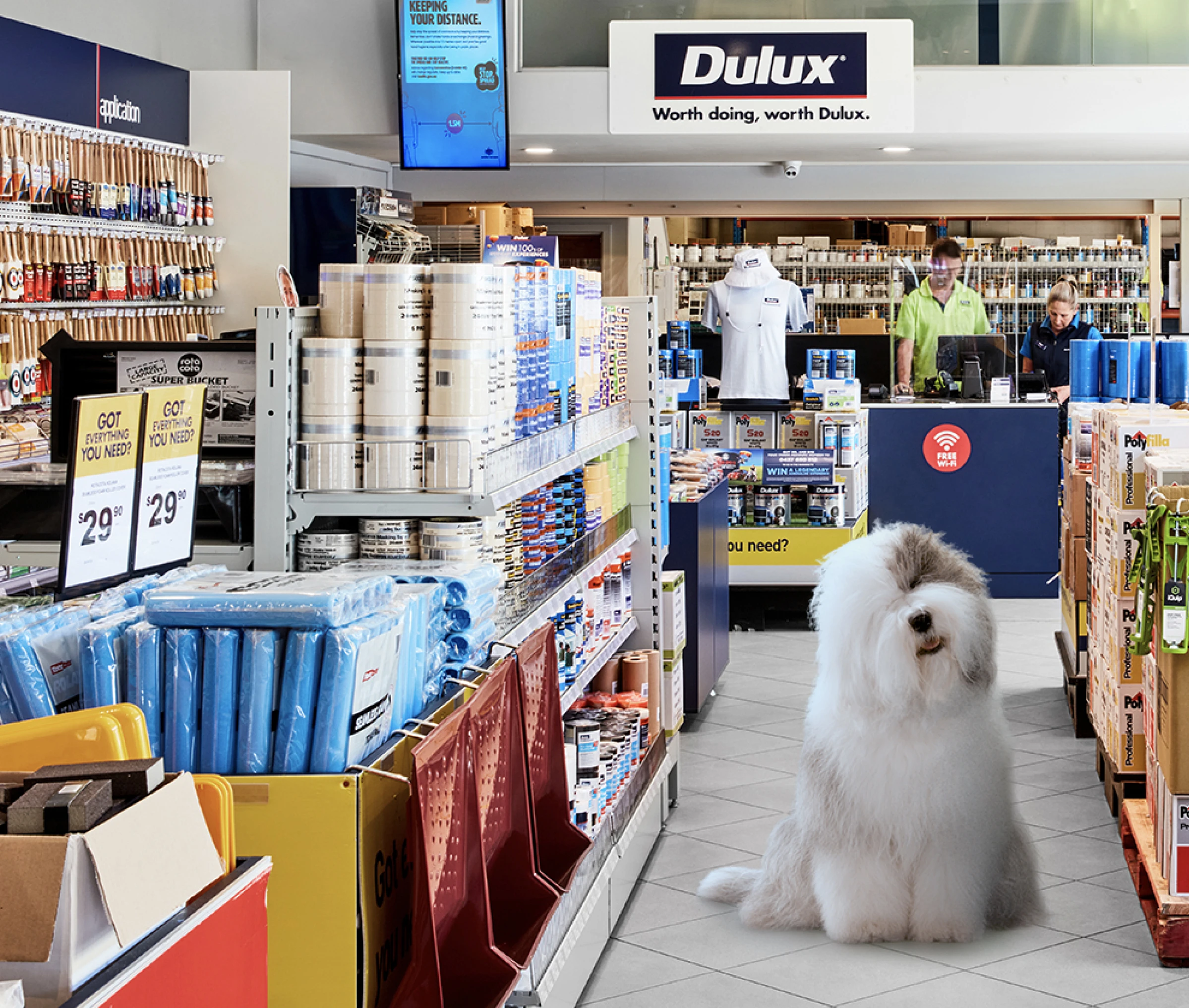 Dulux store interior with Dulux dog and staff in the background 