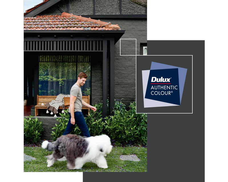 Exterior house with man and dulux dog walking. Dulux logo included.