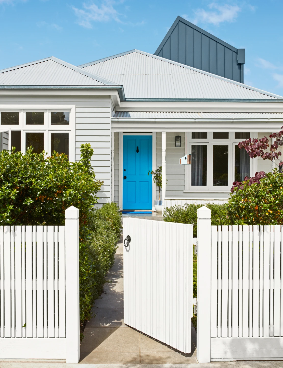 Weatherboard grey house with blue door, white picket fence