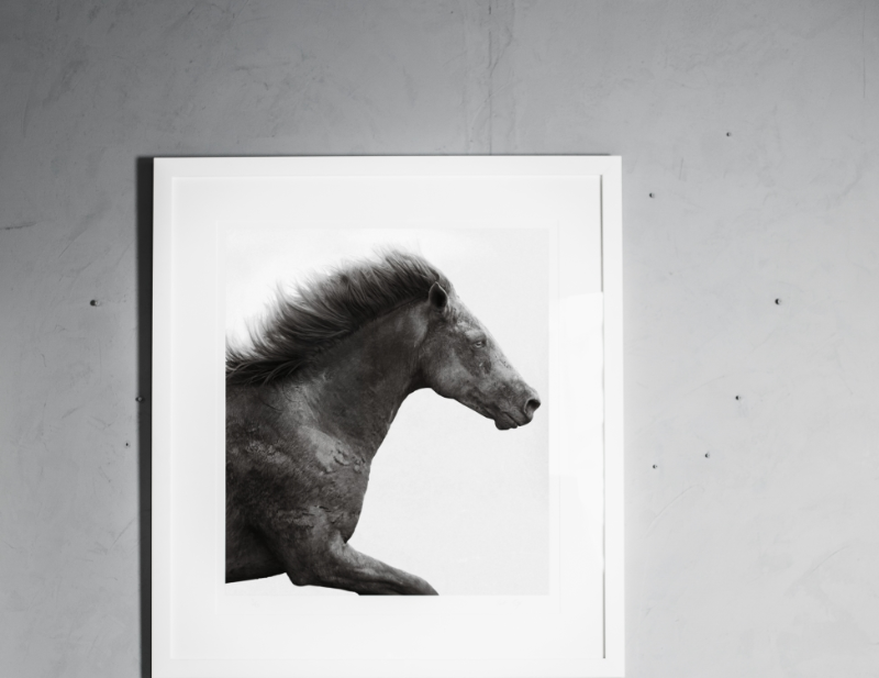 Black and white photograph of running horse in white frame on concrete wall.