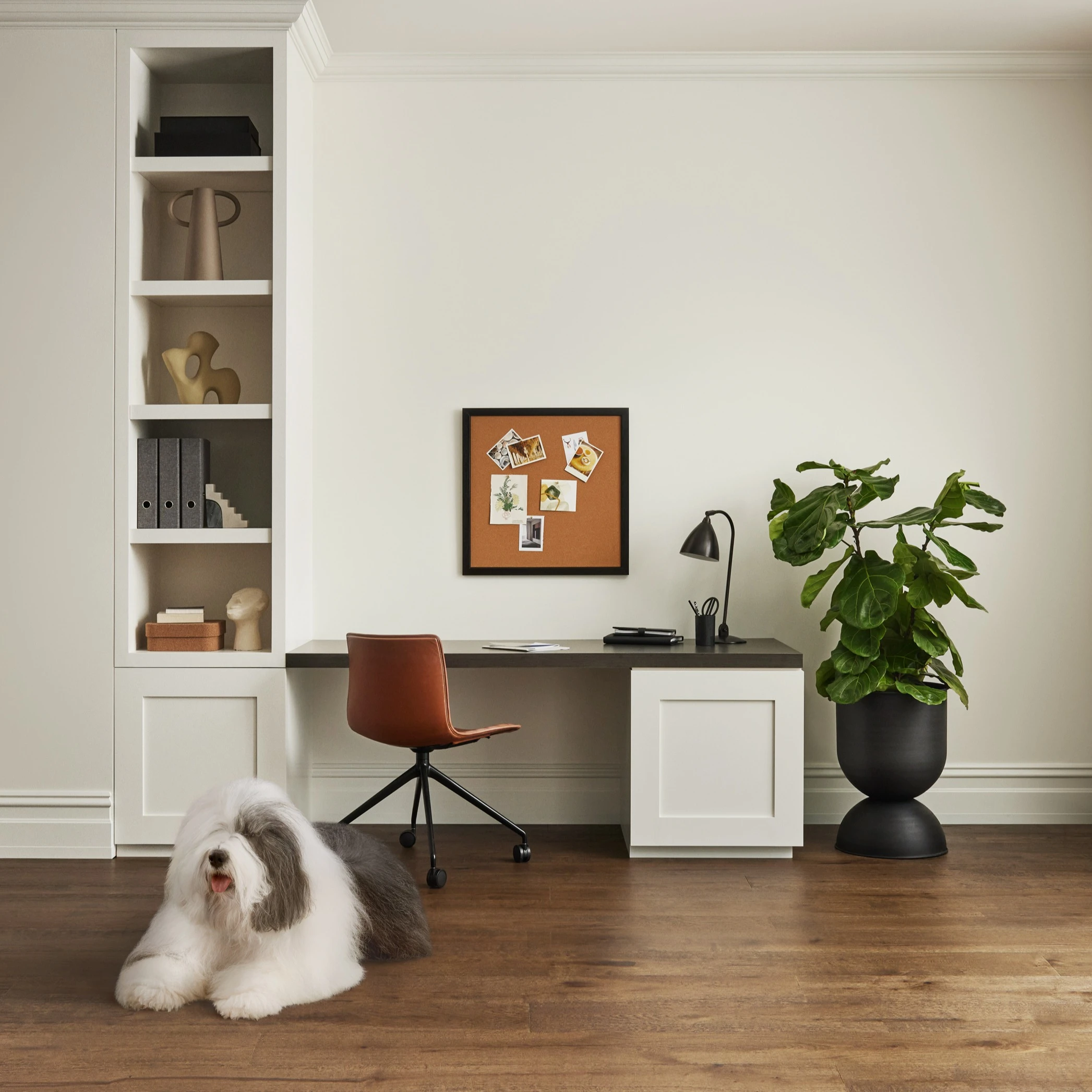 Desk with chair and plant featured in distance against wall with built-in shelves. Dulux dog on floor.