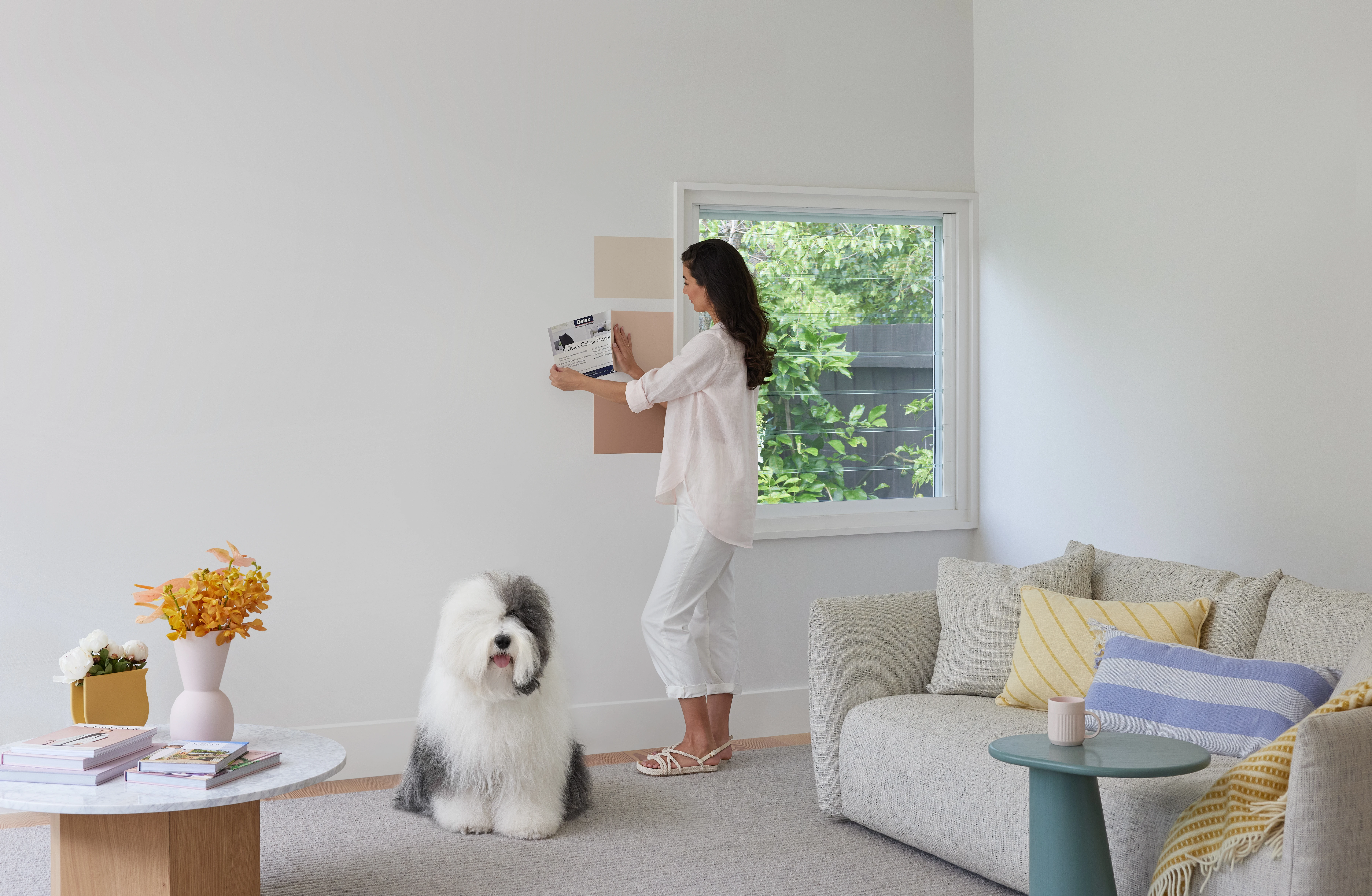 Woman applying colour swatch stickers to white wall next to Dulux dog