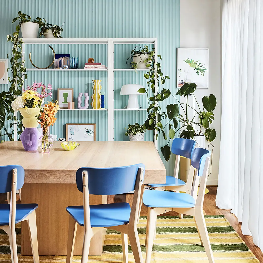 Timber dining table and blue chairs in front of blue fluted wall and white shelving